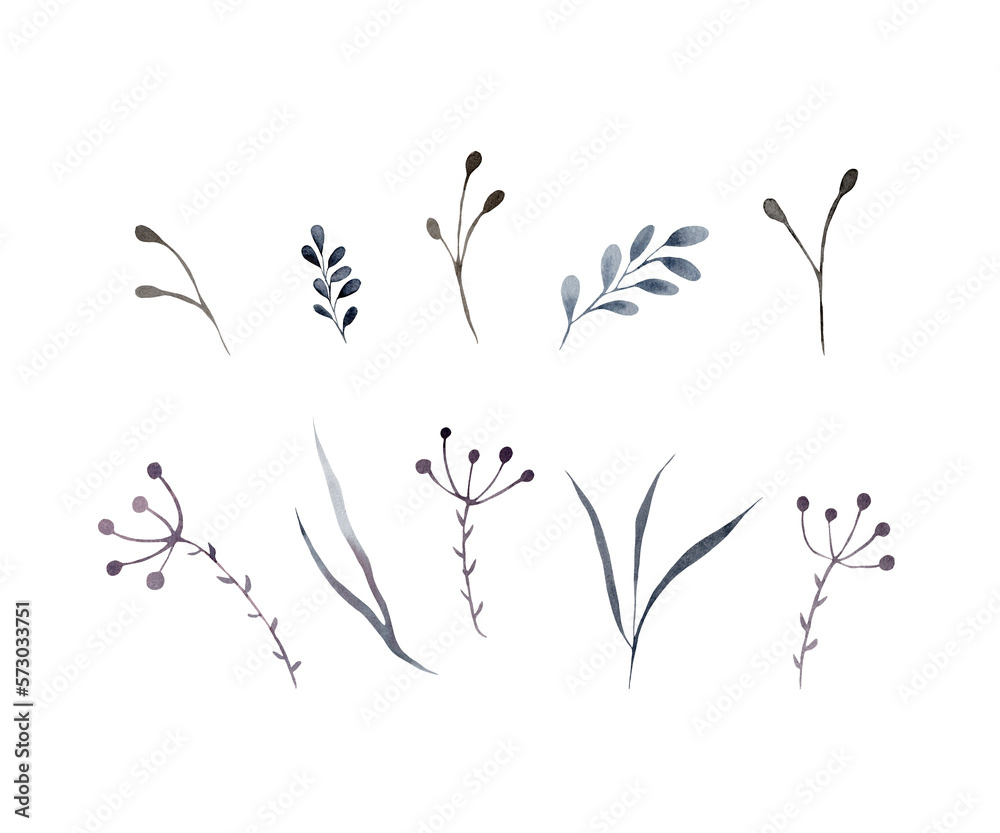 Watercolor illustration of a dry wildflower, herbarium. A set of dry branches on a white background, suitable for decoration of fabrics, paper, scrapbooking, scotch tape, packaging, postcards. Blue