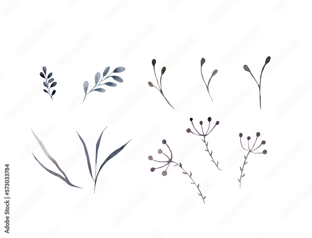 Watercolor illustration of a dry wildflower, herbarium. A set of dry branches on a white background, suitable for decoration of fabrics, paper, scrapbooking, scotch tape, packaging, postcards. Blue