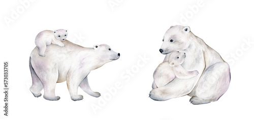 Set of polar bear, winter animals on an isolated white background, watercolor illustration