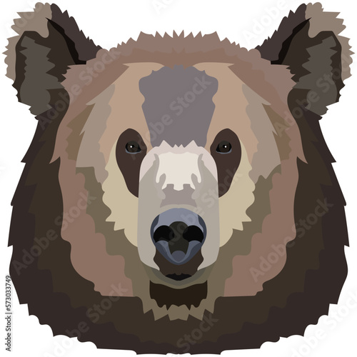 Bear face. An illustration of the muzzle of a large grizzly bear is depicted. Bright portrait on a white background. Vector graphics. animal logo.