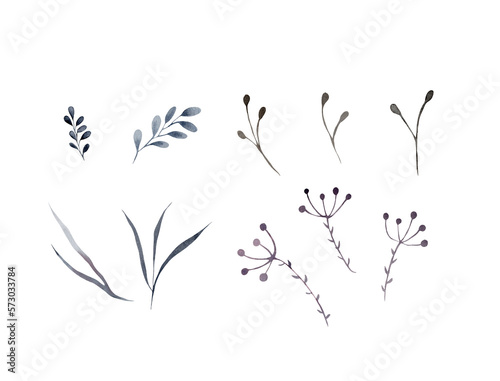 Watercolor illustration of a dry wildflower  herbarium. A set of dry branches on a white background  suitable for decoration of fabrics  paper  scrapbooking  scotch tape  packaging  postcards. Blue