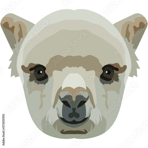 Photography Lama face