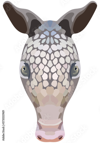 Armadillo face. Shown is an illustration of the snout of Cingulata. Bright portrait on a white background. Vector graphics. animal logo.