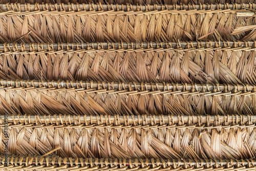 Thatched roof woven structures of indigenous people in the Amazon rainforest