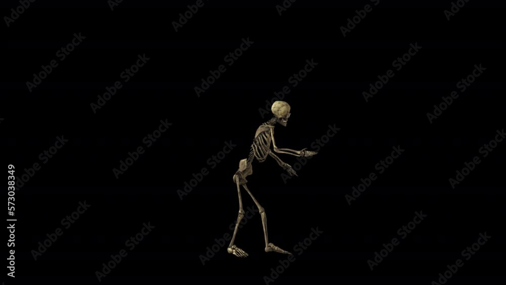 Skeleton Party Dancer 3D Animation With Alpha Video Skeleton Party Dancer 3D Animation With Alpha Video
