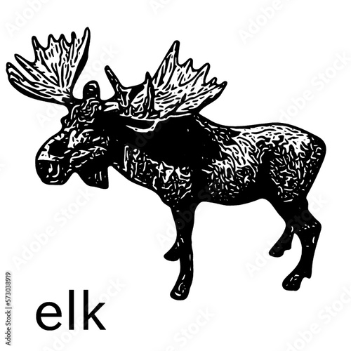 silhouette of an adult elk with big antlers.