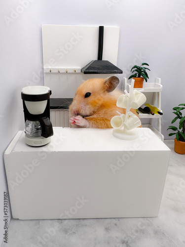 Cute Syrian hamster making coffee in a white kitchen