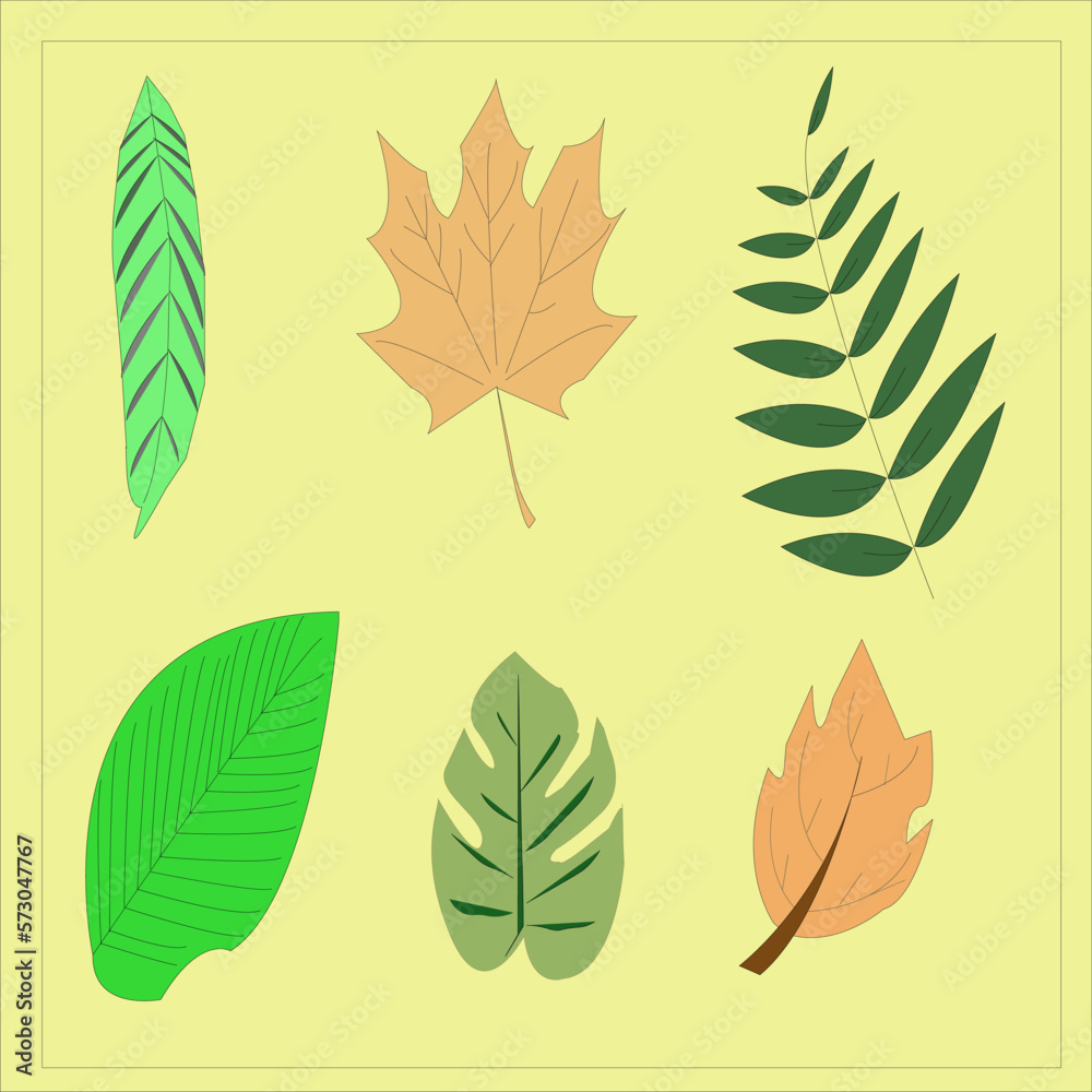 six maple leaves in different colors