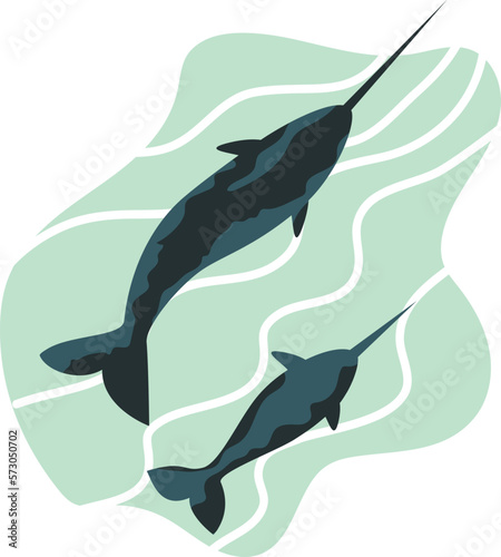 Narwhal vector illustration  narwhal family on white background  isolated fish  marine life minimalist drawing