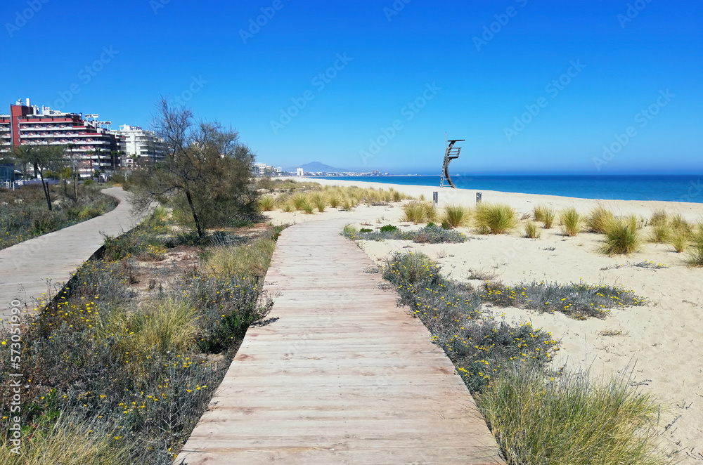 A walking trail amidst wild vegetation on the Spanish coast, Valencia.
