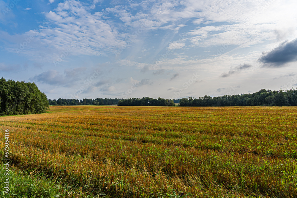 mown field, blue sky, rural landscape