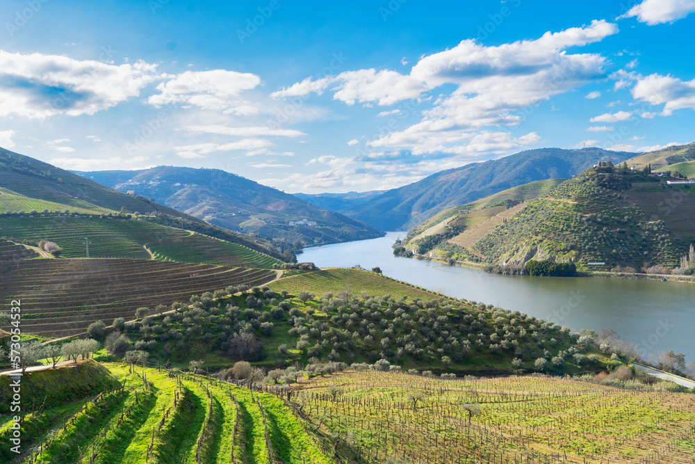 Douro wine valley
