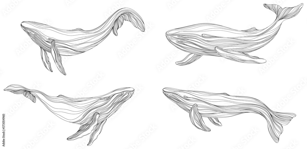 Abstract whales floating underwater. Illustration isolated animal on white background. Ocean mammal swimming set.