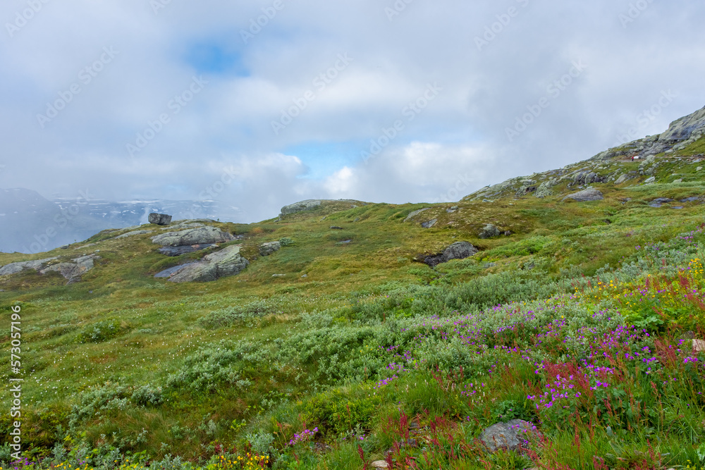 Meadow in the hike for Trolltunga,  Norway