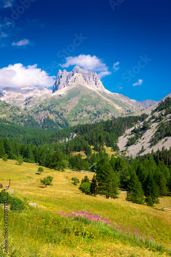 Beautiful mountain landscape of the valley in front of Mount Thabor, Alps, France