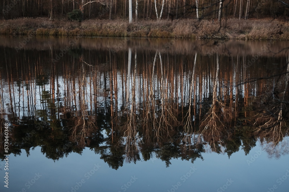 Obraz premium Autumn weather. Lake and trees in the forest