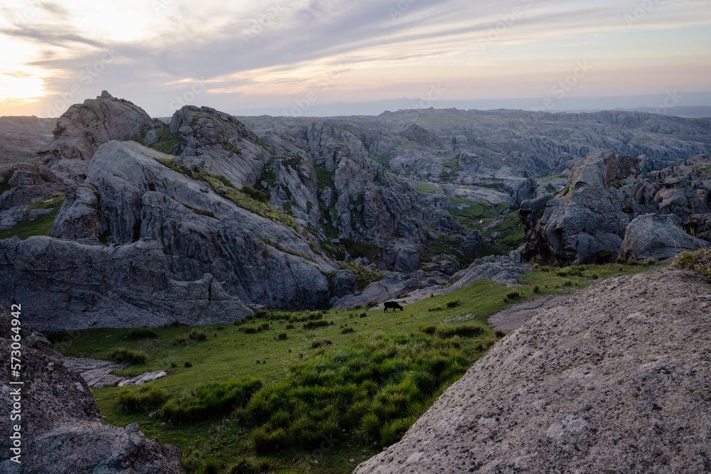 Obraz premium Idyllic rural landscape. Panorama view of a cow grazing in the green meadow and rocky hills at sunset. 