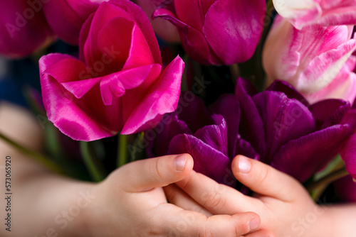 A bouquet of beautiful tulips in the hands of a child close-up. A gift for a holiday, birthday, March 8, Mother's Day, Valentine's Day. A child gives flowers to his mother, grandmother, aunt, sister