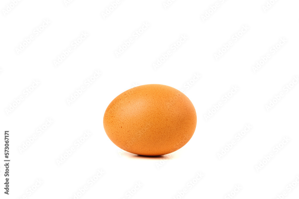 Farm fresh organic brown egg isolated over white Farm fresh organic brown egg isolated over white