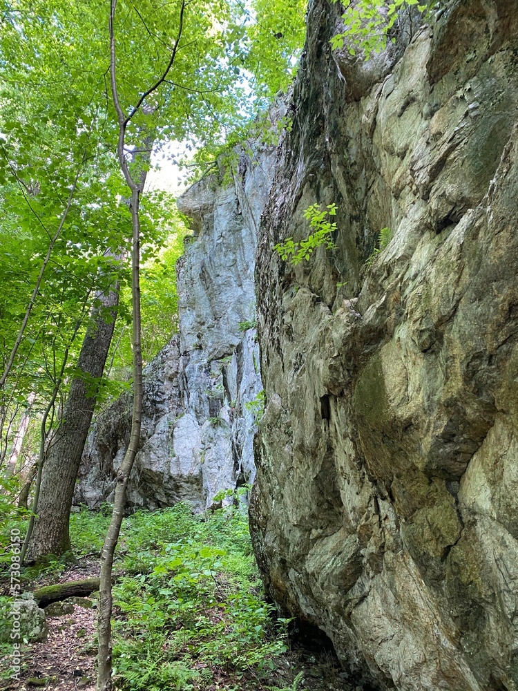 Apple Orchard Falls - Botetourt County, VA