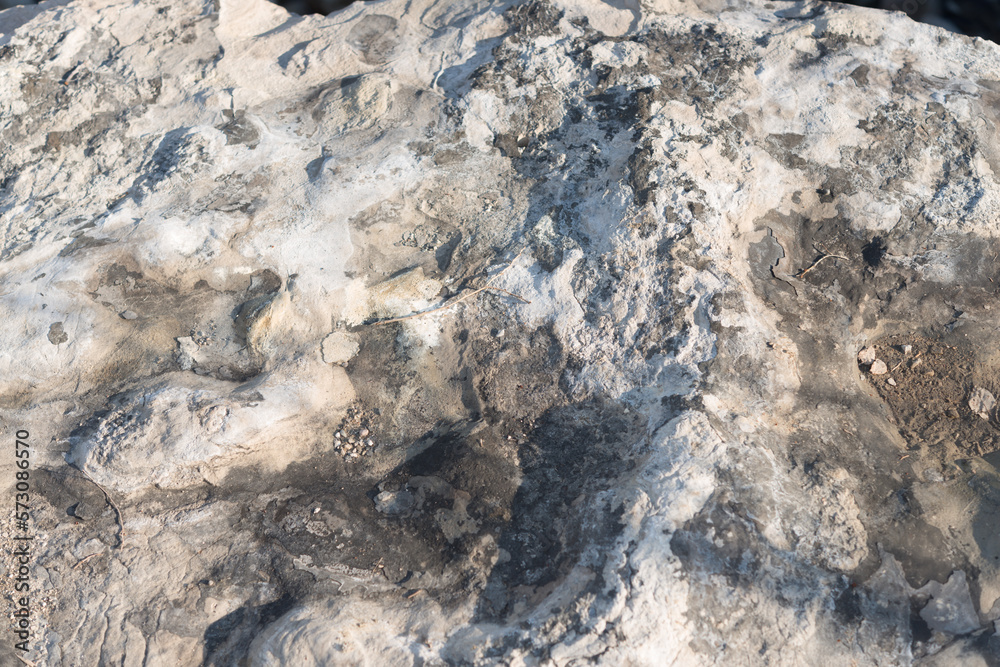Fototapeta premium surface of a large cut stone