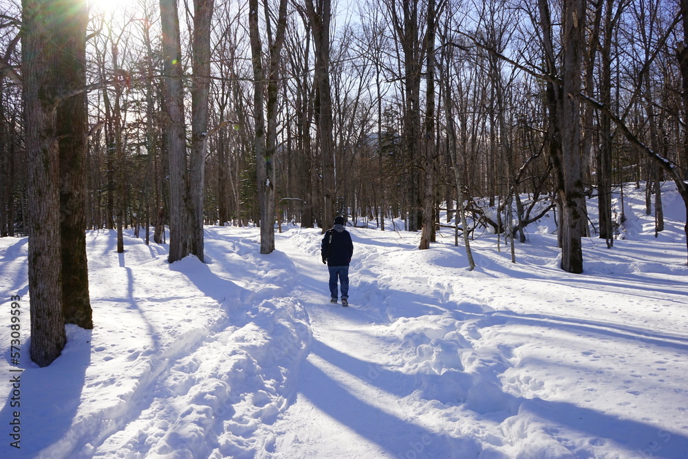 Path of Snow, Wooden Forest in Kamishihoro, Hokkaido, Japan - 日本 北海道 上士幌町 糠平湖 音更川 雪道 Path of Snow, Wooden Forest in Kamishihoro, Hokkaido, Japan - 日本 北海道 上士幌町 糠平湖 音更川 雪道