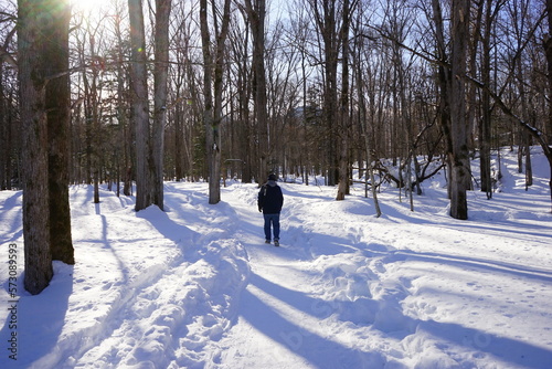 Path of Snow, Wooden Forest in Kamishihoro, Hokkaido, Japan - 日本 北海道 上士幌町 糠平湖 音更川 雪道