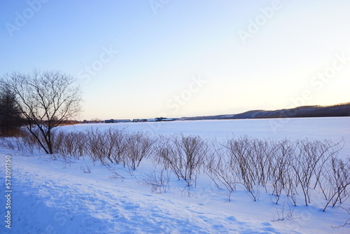 Snow Covered Landscape at Dusk in Obihiro  Japan -                                  