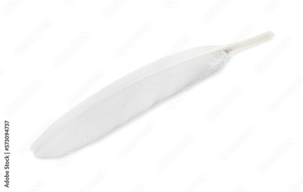 Big beautiful fluffy feather isolated on white Big beautiful fluffy feather isolated on white