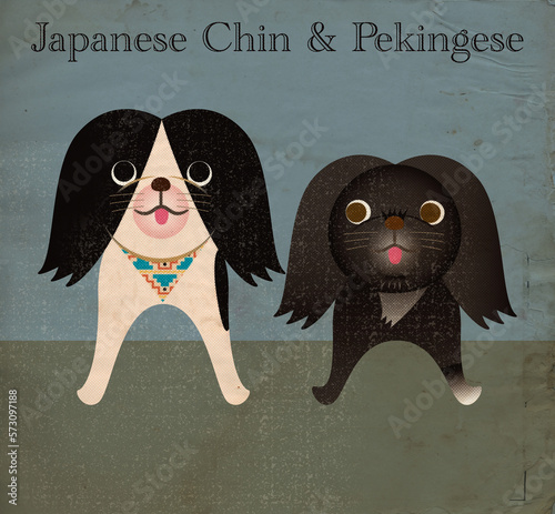 Fotografiet Japanese Chin and Pekingese
