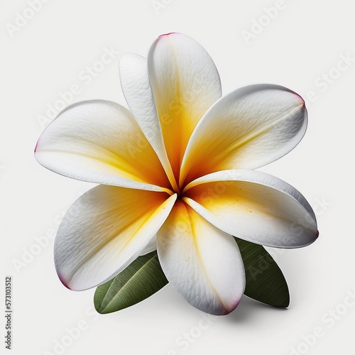 The Beauty of Simplicity Plumeria Flower  Vibrant Blooms - Generative AI