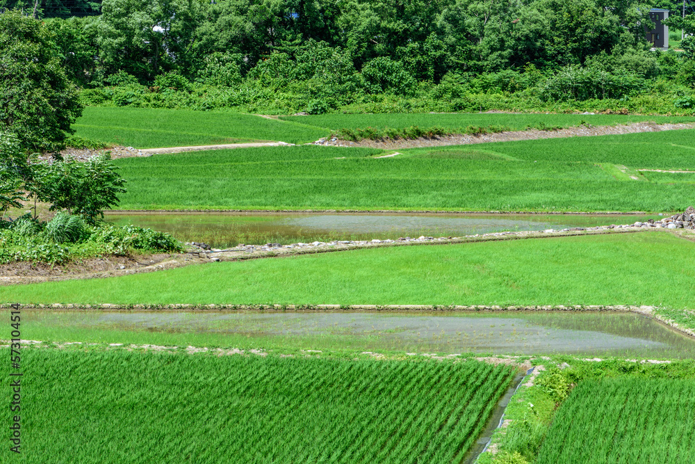 Obraz premium 秋田 山間の田園