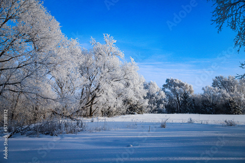 Frosty Morning © Blue Norther Media