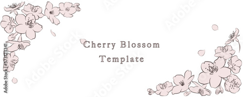 白背景にピンク色の桜の花と花びらのフレーム