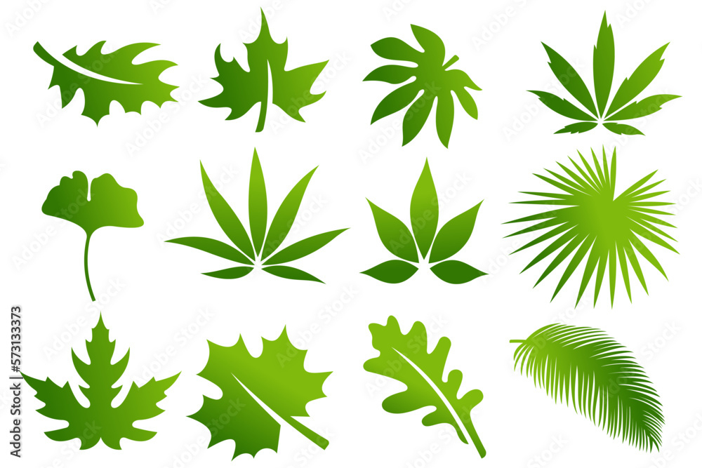 Set of green leaf logo design inspiration vector icons Set of green leaf logo design inspiration vector icons