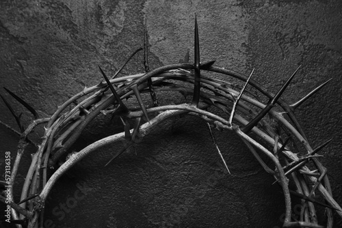 Crown of thorns on dark background, closeup © Pixel-Shot