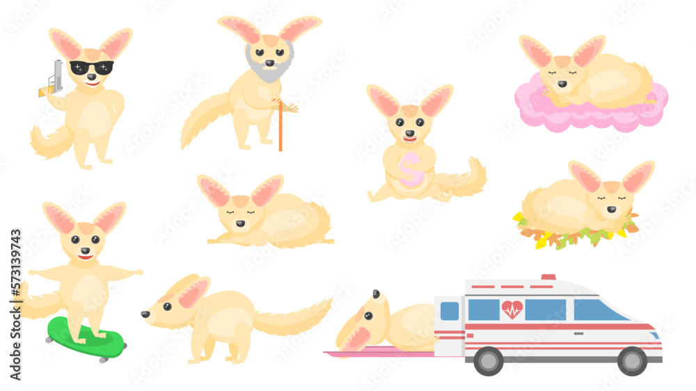 Big Set Abstract Collection Flat Cartoon Different Animal Fenech Vector Design Fauna Wildlife Big Set Abstract Collection Flat Cartoon Different Animal Fenech Vector Design Fauna Wildlife