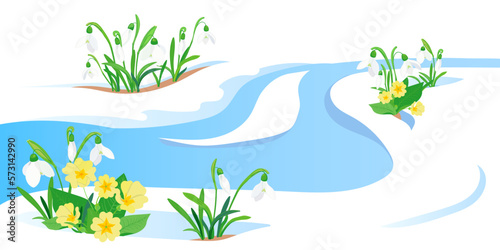 Slika na platnu Spring meltwater flow and the first flowers sprouting through the snow