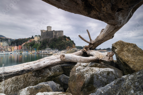 Il castello di Lerici incorniciato da un tronco arenato sulla diga, provincia di La Spezia, Liguria, Italia photo