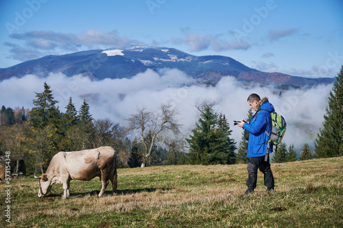 Male photographer taking picture of farm animal on alpine grassy meadow with foggy mountains on background © anatoliy_gleb