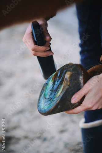 spray hoof treatment