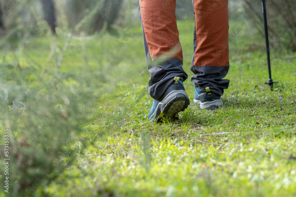 man walking in the field with trekking pole man walking in the field with trekking pole