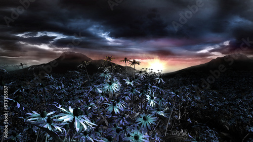Dawn over mountain meadow