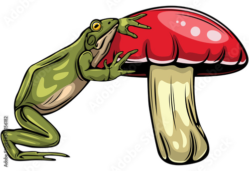 Frog and mushroom