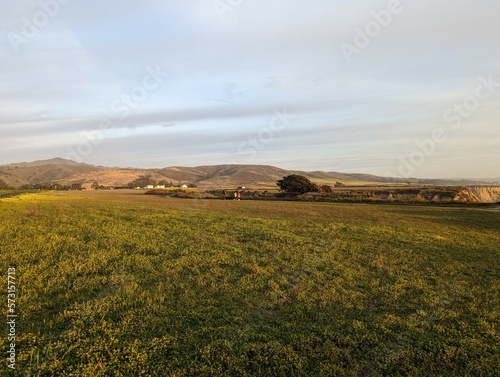 Half Moon Bay farmland, farm field landscape, wildflower farm field, Half Moon Bay coastal farm field © Alina M. Darkhovsky 