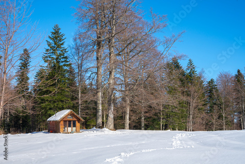 Beautiful wooden mountain house at the end of a meadow surrounded by forest and snow in winter