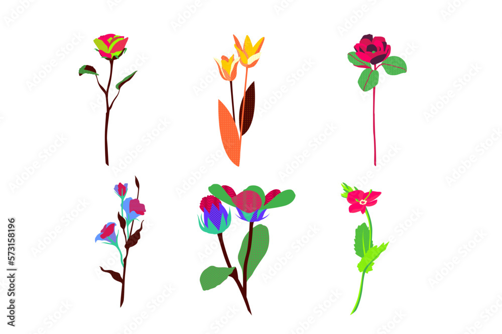 set of flowers, flower art, flower vector, flower illustration