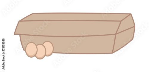 Presentation of fresh eggs in large brown pack on white background