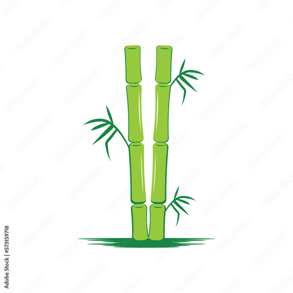 Fototapeta premium Bamboo ,green nature , logo design template, brand company