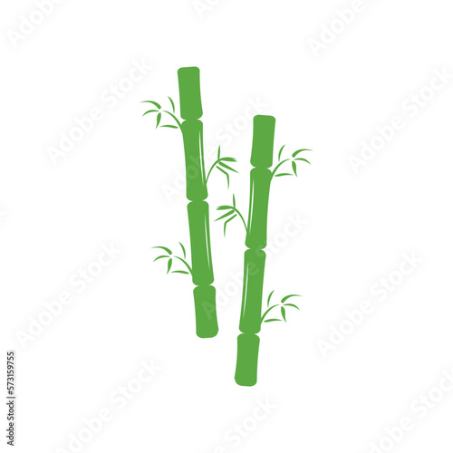 Bamboo  green nature   logo design template  brand company